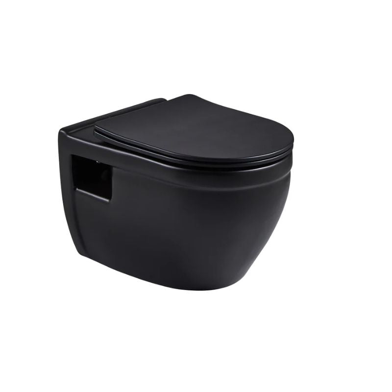 Tiguane Dual Flush Wall-mount Toilet with Soft Close Seat